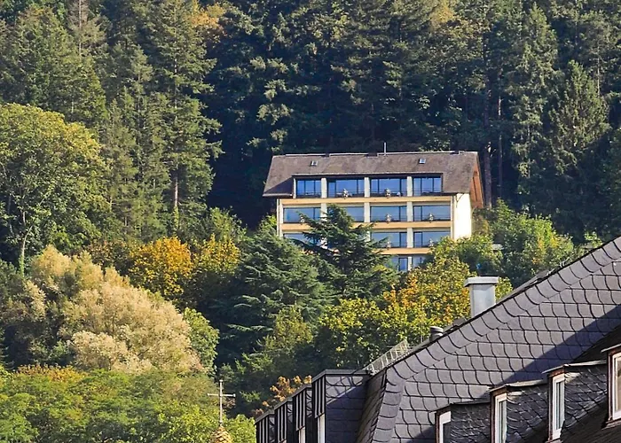 Vintage Hotel Petrisberg